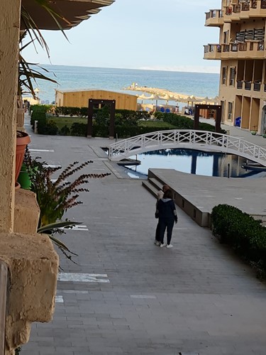 1-Schlafzimmer Wohnung mit Meerblick am Strand im Turtles Beach Resort-Hurghada-Aegypten